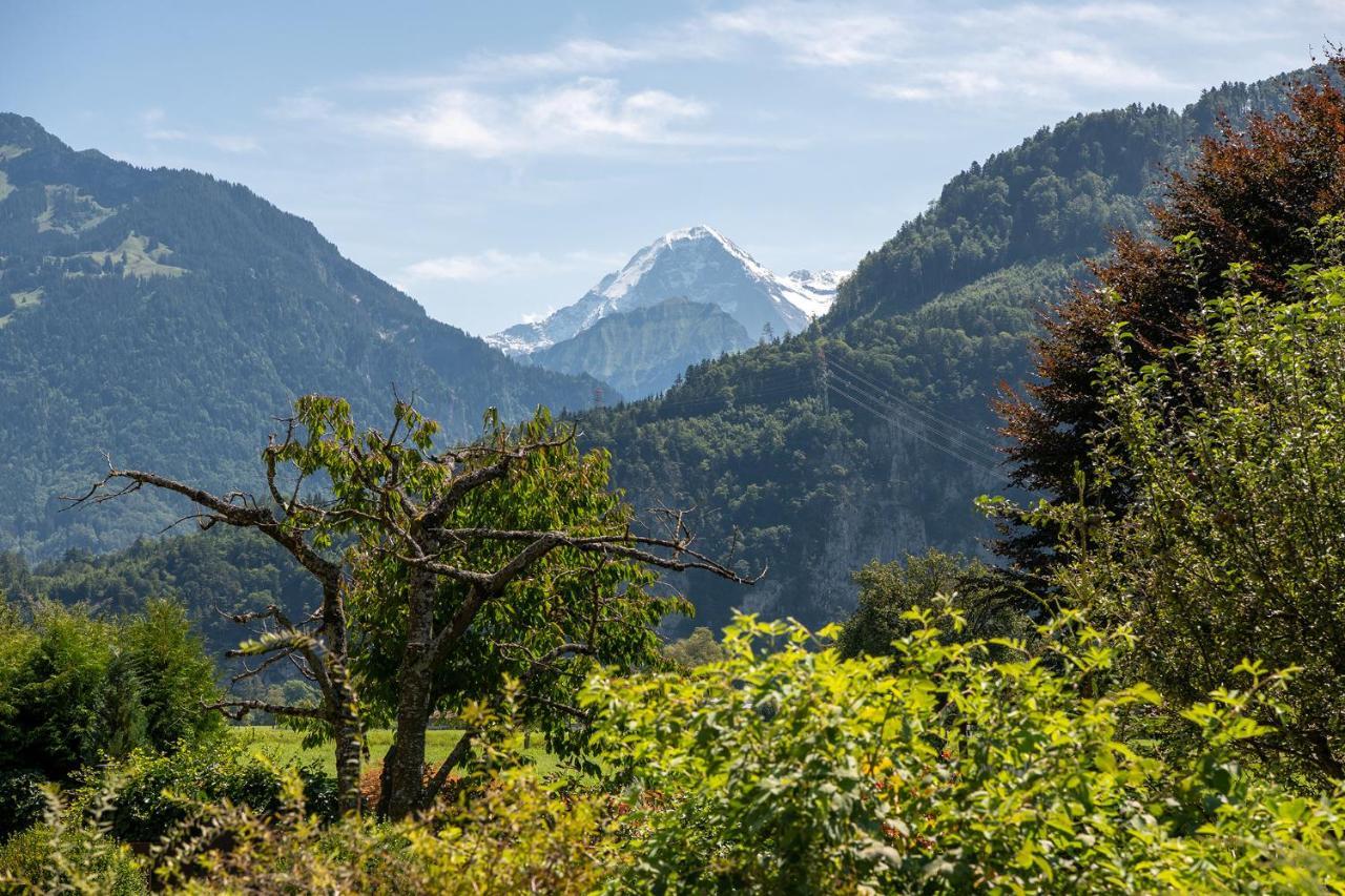 Salzano Basic Rooms Interlaken Unterseen Exterior foto